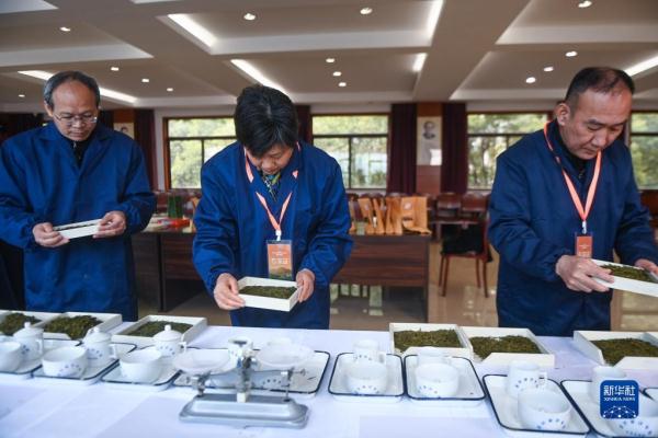 杭州举办龙井茶手工炒制技能大赛
