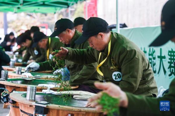 杭州举办龙井茶手工炒制技能大赛