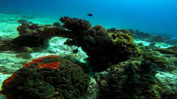 高清大片来袭!一起感受水兵的浪漫 高清大片来袭!一起感受水兵的浪漫