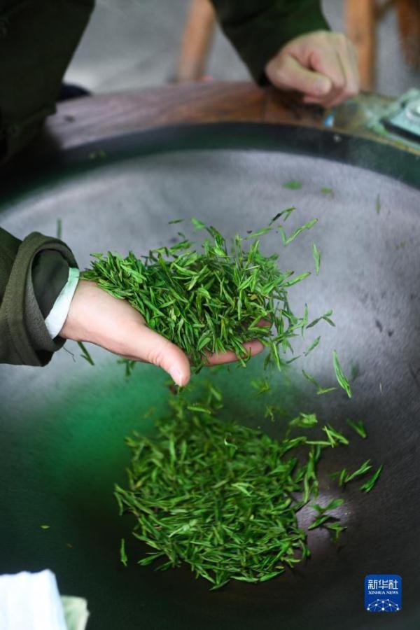 杭州举办龙井茶手工炒制技能大赛