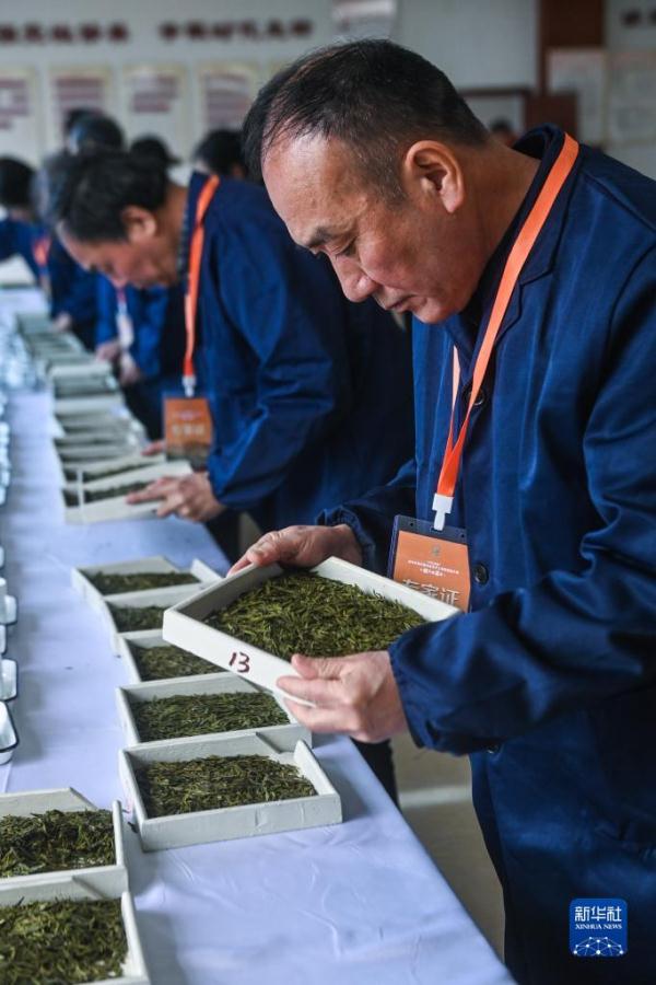 杭州举办龙井茶手工炒制技能大赛