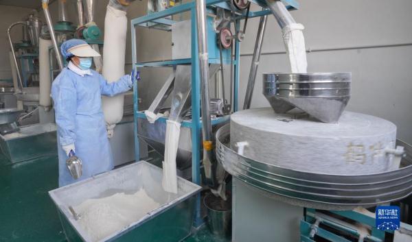 山东邹平：多种产业模式推进强村富农