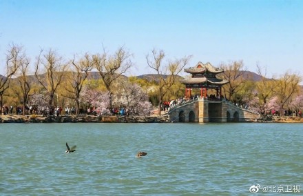 颐和园山桃烂漫春色满园