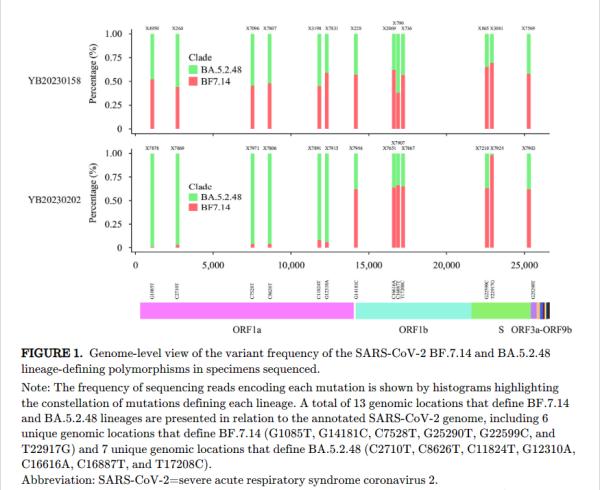 从疲劳咳嗽到寒战发烧...中疾控最新通报：首次发现，共同感染