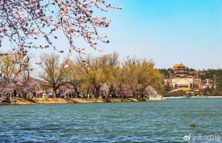 颐和园山桃烂漫春色满园