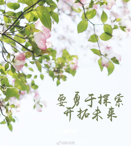邂逅春天向阳而生！这个春天坚持做这9件事