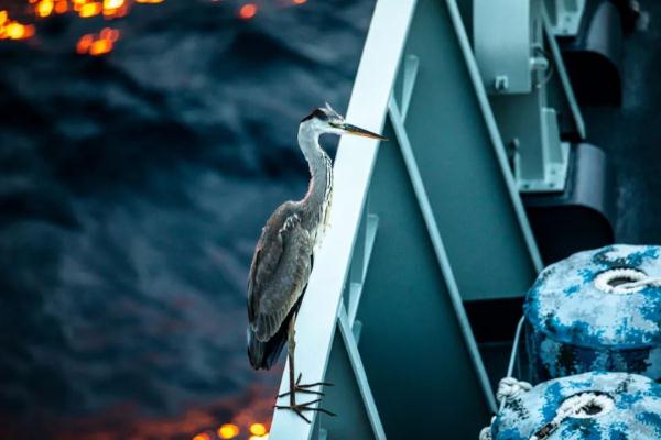 高清大片来袭!一起感受水兵的浪漫 高清大片来袭!一起感受水兵的浪漫