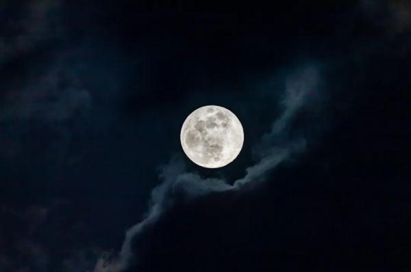 高清大片来袭!一起感受水兵的浪漫 高清大片来袭!一起感受水兵的浪漫