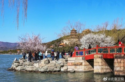 颐和园山桃烂漫春色满园