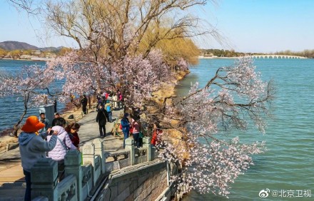 颐和园山桃烂漫春色满园