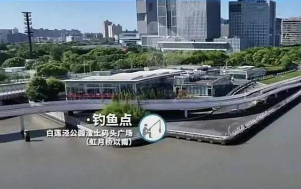黄浦江边又添新玩法！爷叔：周末来一定要早点抢位子……