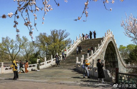 颐和园山桃烂漫春色满园