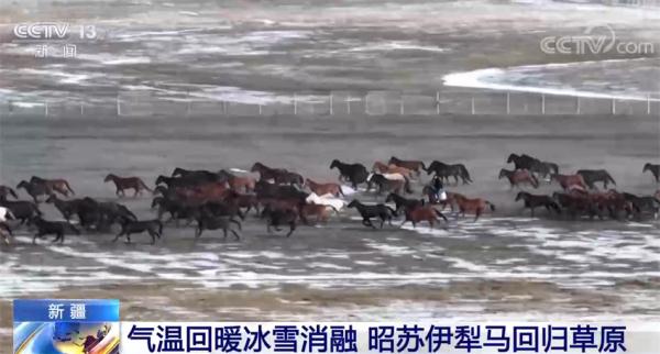 产业融合发展 新疆昭苏“马”上带来美好新生活