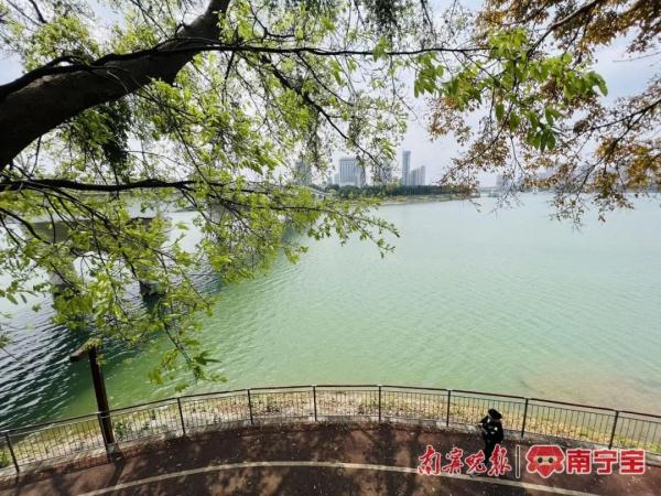 南宁下周天气“过山车”！限时体验34℃夏天后，迎来降温+强对流……