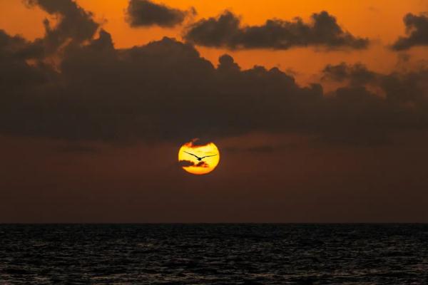 高清大片来袭!一起感受水兵的浪漫 高清大片来袭!一起感受水兵的浪漫