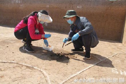 安阳八里庄新石器时代遗址发现记
