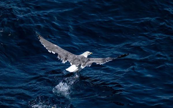 高清大片来袭!一起感受水兵的浪漫 高清大片来袭!一起感受水兵的浪漫