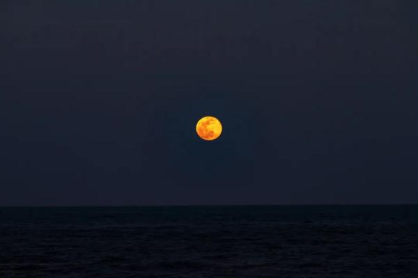 高清大片来袭!一起感受水兵的浪漫 高清大片来袭!一起感受水兵的浪漫