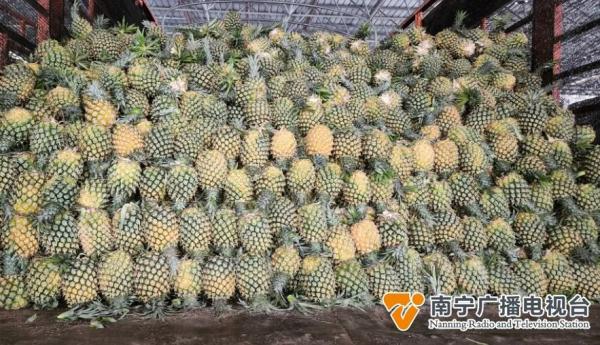 应季水果缤纷上市，赶紧来看→