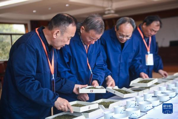 杭州举办龙井茶手工炒制技能大赛