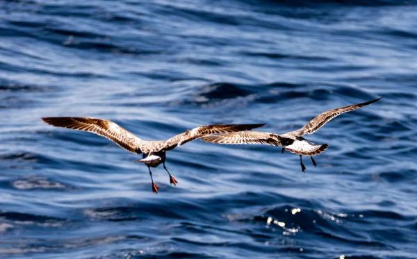 高清大片来袭!一起感受水兵的浪漫 高清大片来袭!一起感受水兵的浪漫