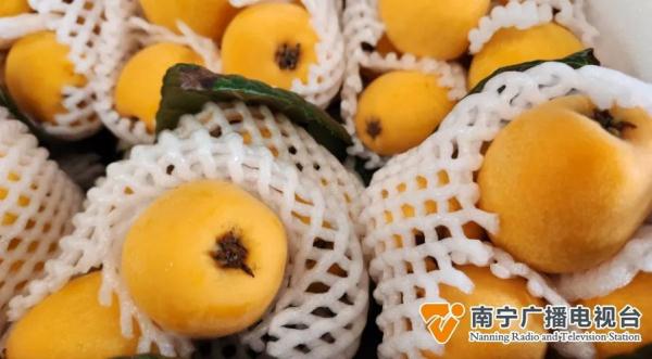 应季水果缤纷上市，赶紧来看→