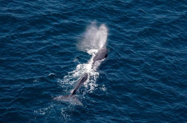 高清大片来袭!一起感受水兵的浪漫 高清大片来袭!一起感受水兵的浪漫