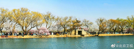 颐和园山桃烂漫春色满园