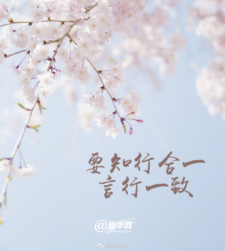 邂逅春天向阳而生！这个春天坚持做这9件事
