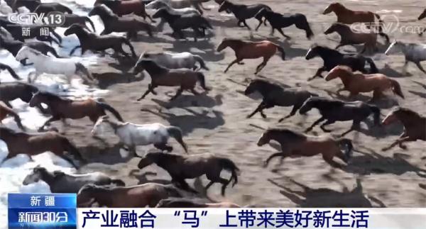 产业融合发展 新疆昭苏“马”上带来美好新生活