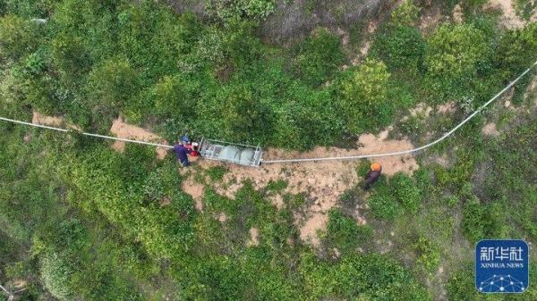 春耕备耕|新装备新技术新模式，春耕实现机械化自动化——福建春耕一线见闻