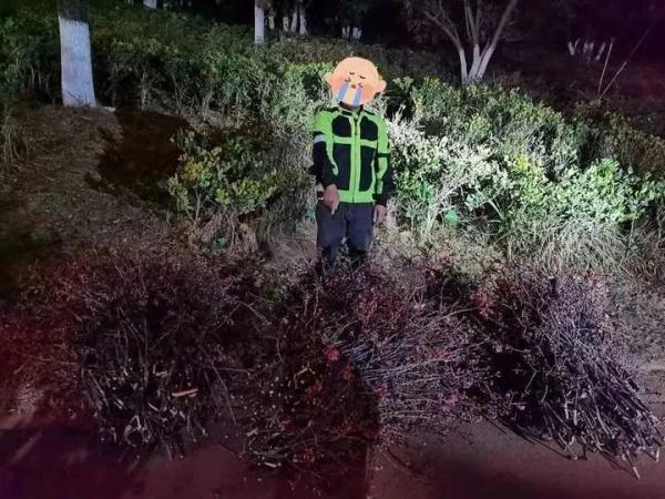 “采花贼”出没?昆明警方:依法行拘! “采花贼”出没?昆明警方:依法行拘!