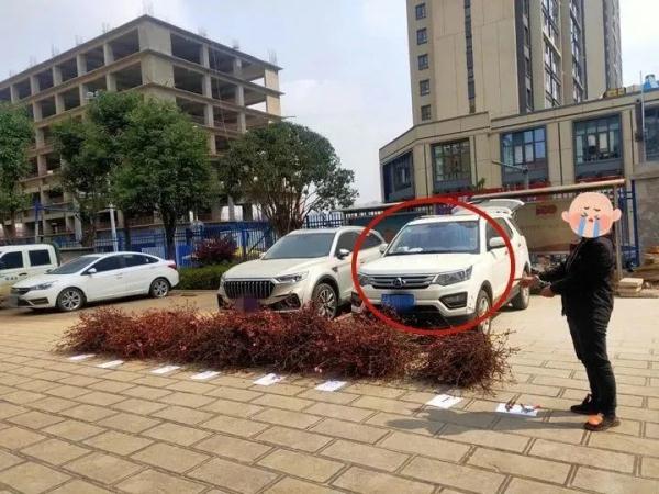 “采花贼”出没?昆明警方:依法行拘! “采花贼”出没?昆明警方:依法行拘!