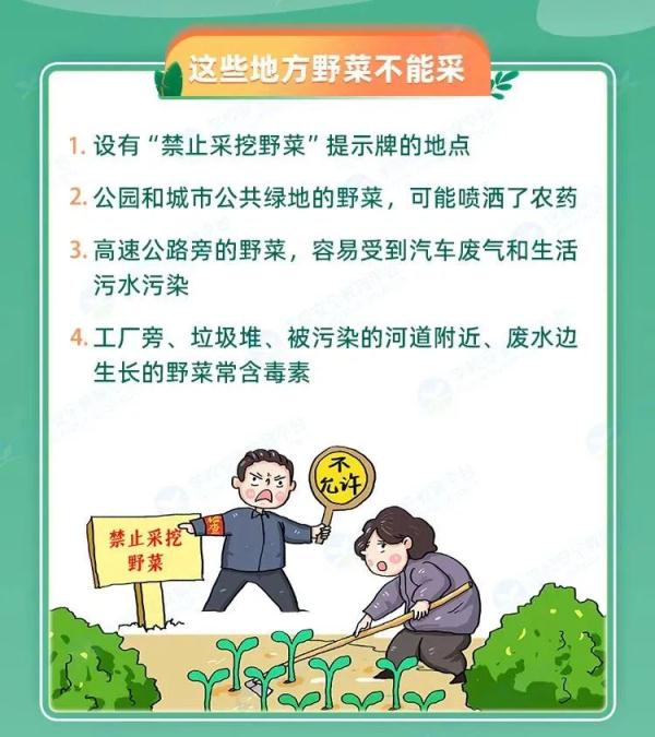 形似蒜苗，已有人中毒！可能正在你桌上......
