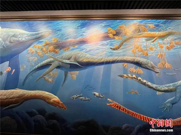 历经五次大灭绝，为何这种动物能亿万年不灭？