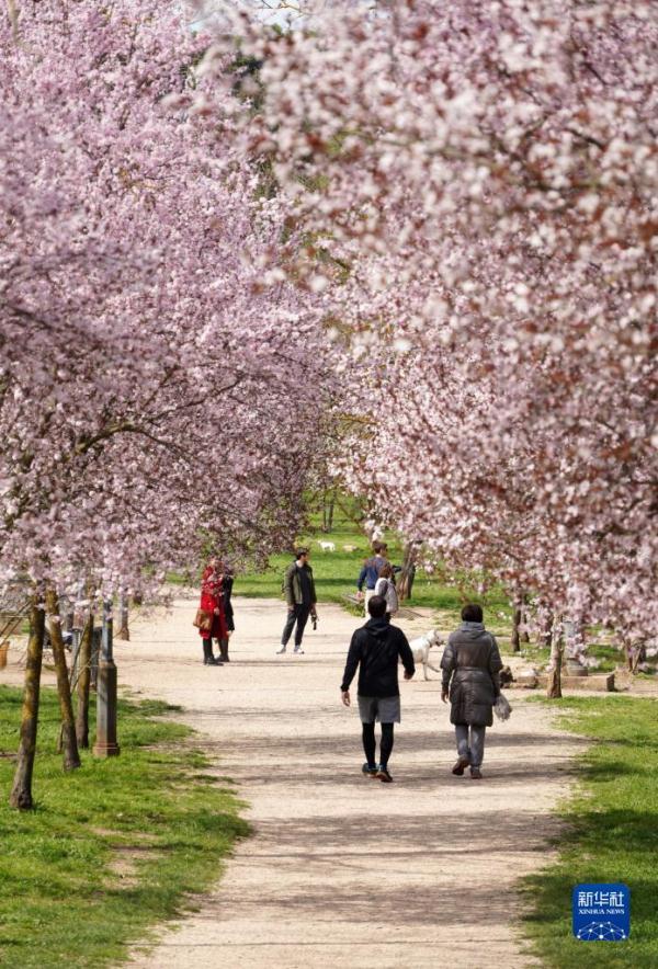 天气转暖万物复苏,春天的气息已悄然降临 天气转暖万物复苏,春天的气息已悄然降临