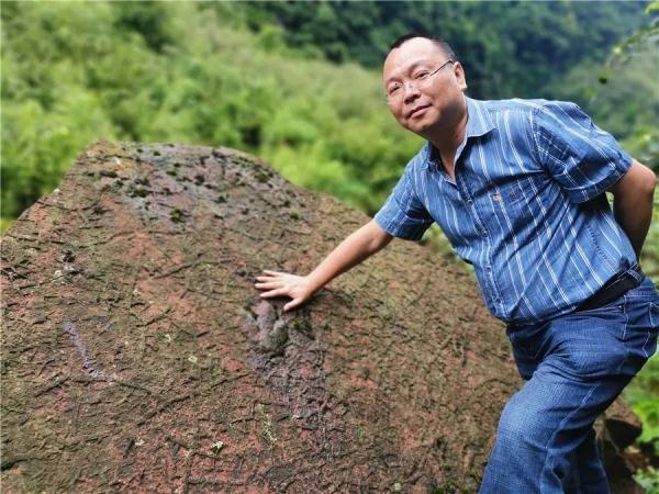 历经五次大灭绝，为何这种动物能亿万年不灭？