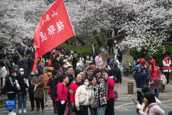 武汉大学邀请抗疫医护人员赏樱