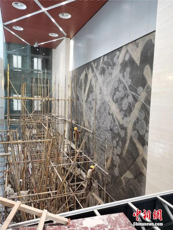 历经五次大灭绝，为何这种动物能亿万年不灭？