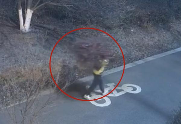 “采花贼”出没?昆明警方:依法行拘! “采花贼”出没?昆明警方:依法行拘!