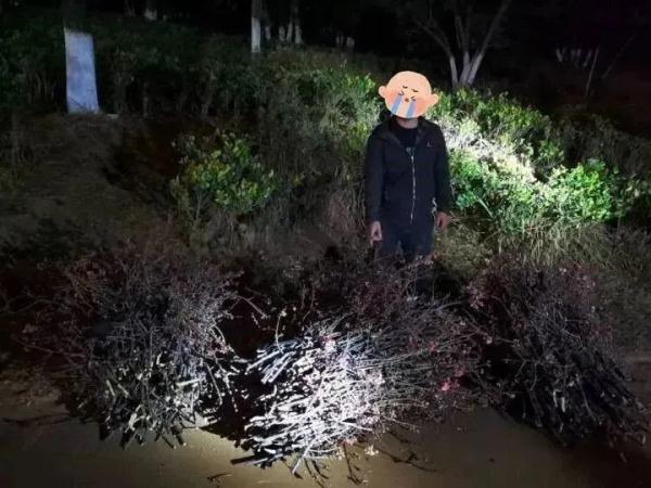 “采花贼”出没?昆明警方:依法行拘! “采花贼”出没?昆明警方:依法行拘!