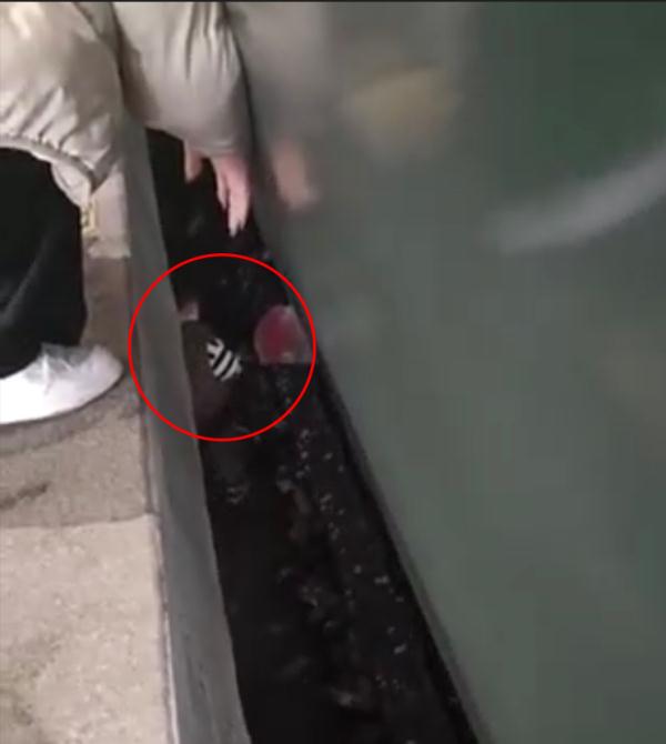 惊险！一孩童掉进上海南站站台缝隙！