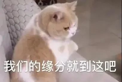 婚礼即将举行,小伙被婚庆公司通知女方换新郎了! 婚礼即将举行,小伙被婚庆公司通知女方换新郎了!