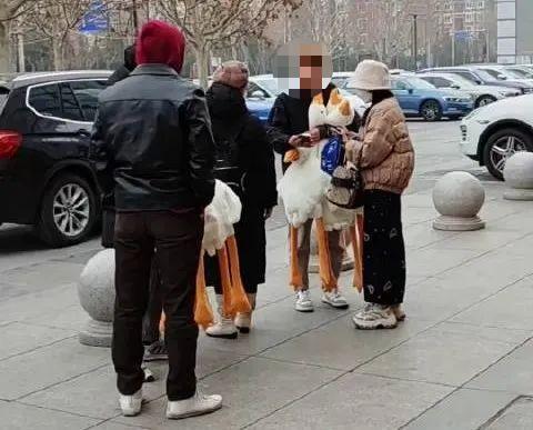 网红大鹅扫码送？上海街头也有，但要注意→