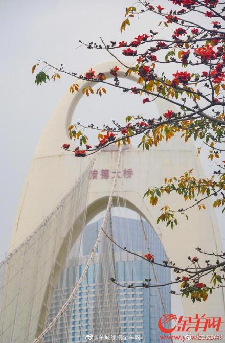 开往春天的广州红棉列车