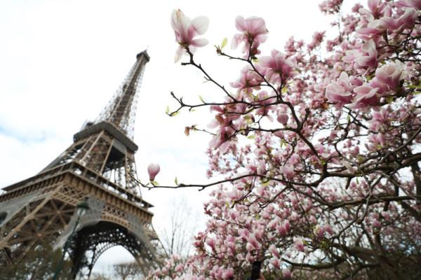 春到巴黎 春到巴黎