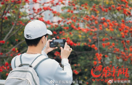 开往春天的广州红棉列车