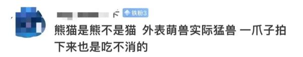 男子翻护栏进入大熊猫园？园方回应