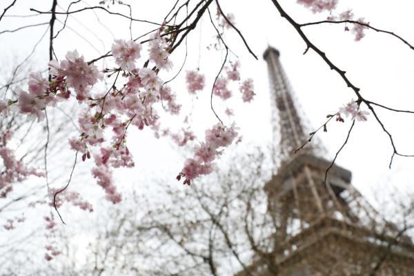 春到巴黎 春到巴黎