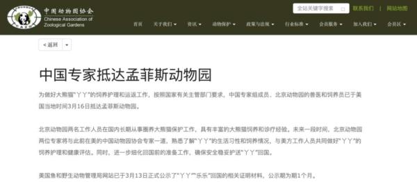 专家建议丫丫回国初期尽量减少游客打扰